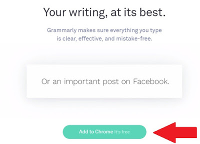 grammarly for word for mac 8